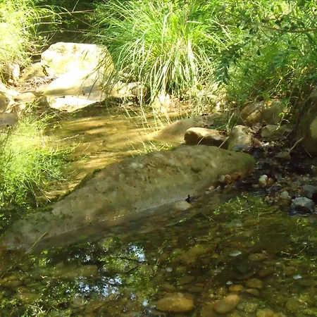 Mas Campmol בית כפרי